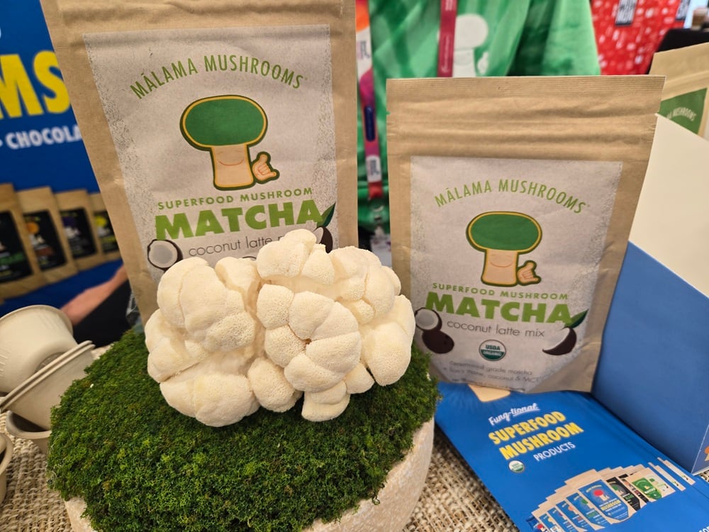 Mushroom boom in food and beverage faces shakeout as growth collides with inflation, consolidation